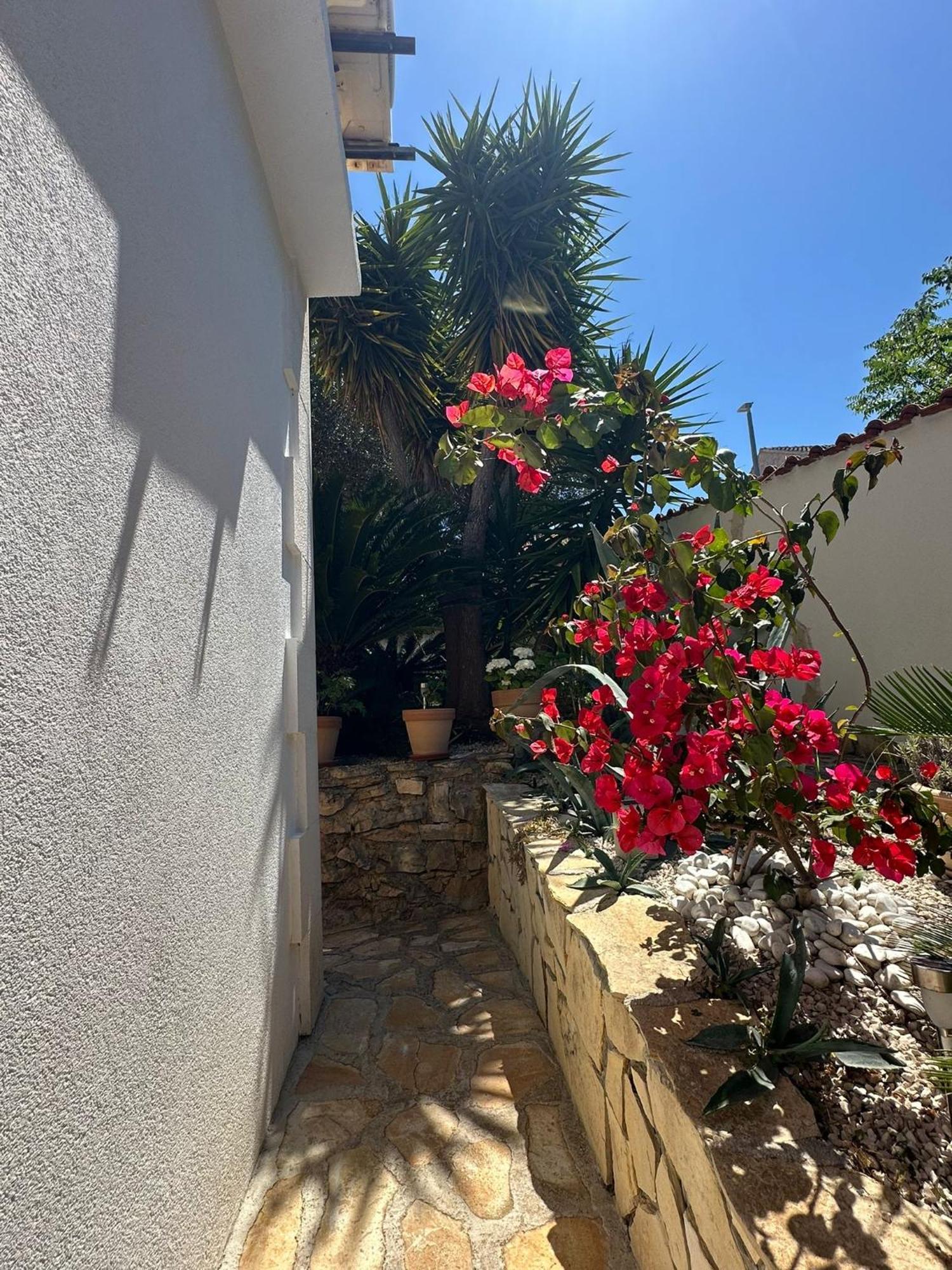 Brac Apartma Supetar